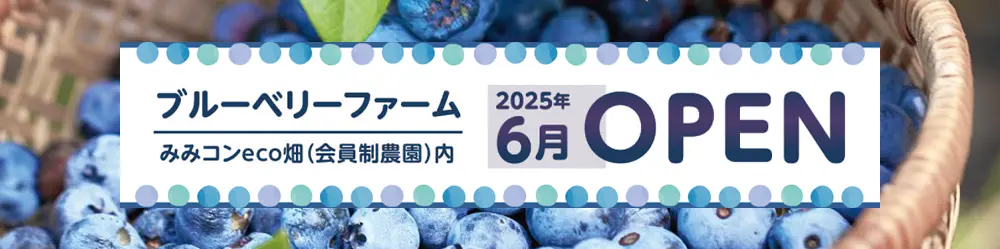 ブルーベリーファーム