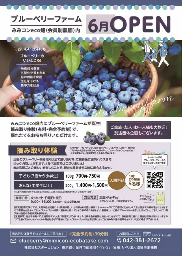 ブルーベリーファーム