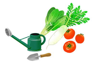 家庭ごみを堆肥化した有機肥料で、農薬不使用の有機栽培野菜に